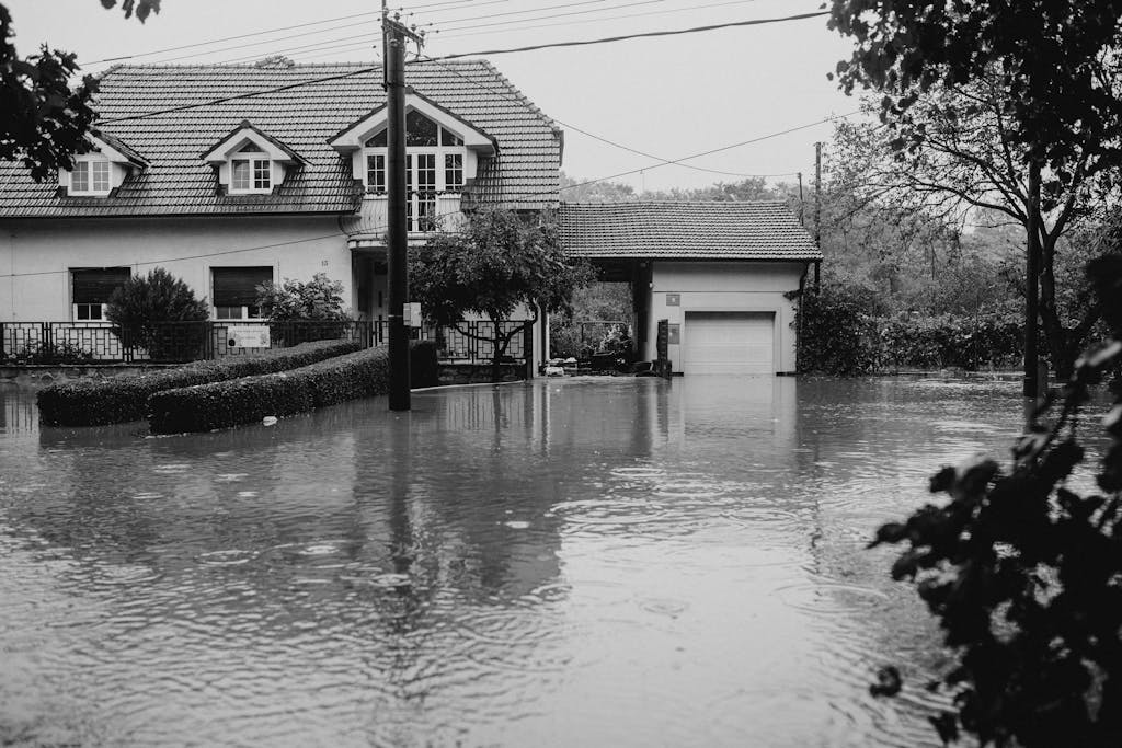 public adjuster to maximize water damage claim